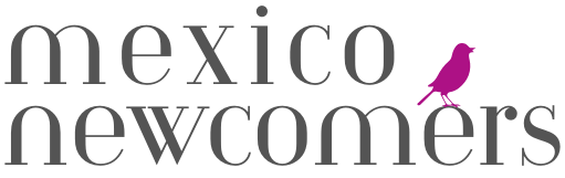 Mexico Newcomers | Information, Services & Resources for English Speakers in Mexico